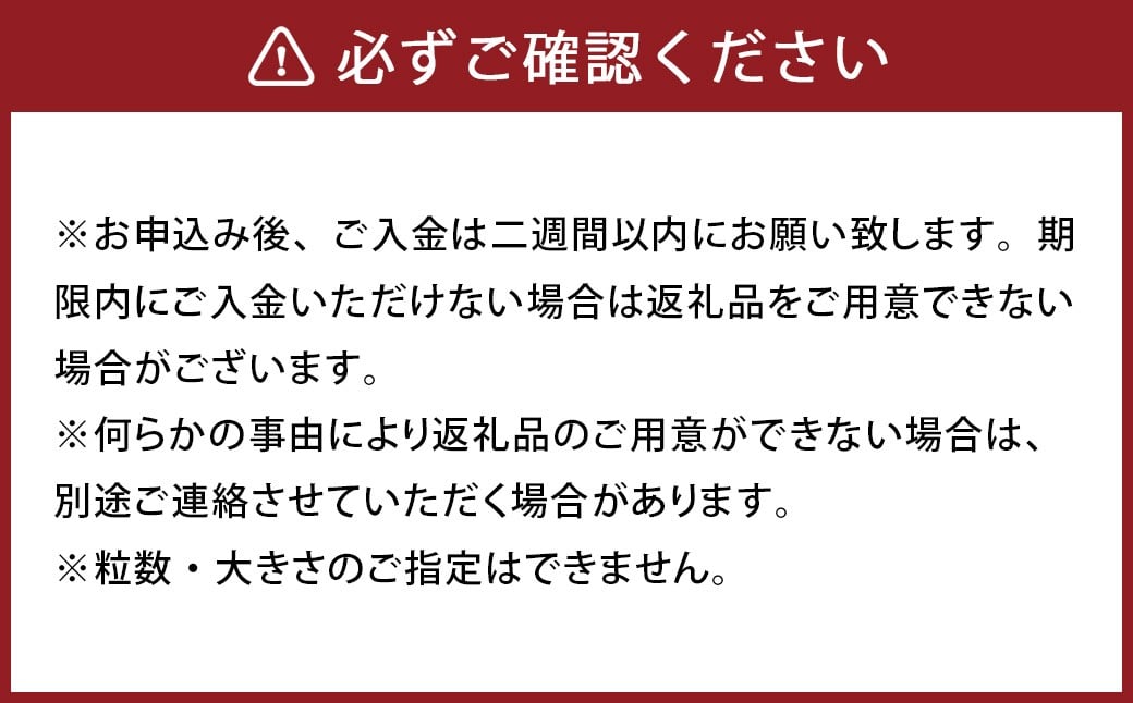 パクパクデコ 10kg バラ詰め 訳あり（B品） 不知火 果物 くだもの フルーツ【2026年2月下旬-6月下旬発送】