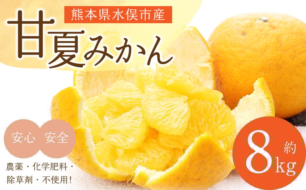 甘夏みかん 8kg  みかん オレンジ 柑橘【2026年2月下旬～4月下旬発送】