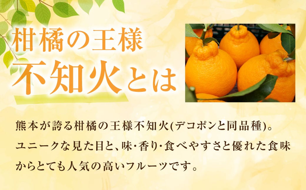 訳あり不知火 約7kg しらぬい 柑橘 果物 フルーツ 【2025年1月下旬から2025年4月下旬発送予定】