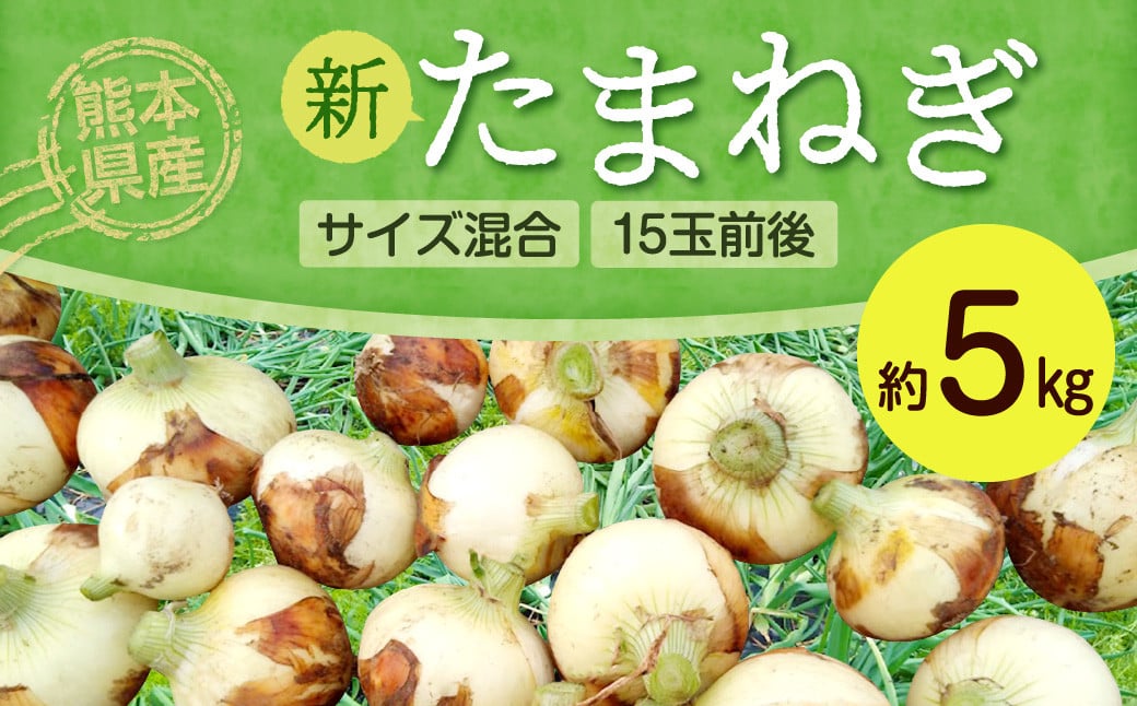 熊本県産 新たまねぎ サイズ混合 約5kg 15玉前後 野菜 タマネギ 玉ねぎ サラダ 【2025年3月上旬‐4月上旬迄発送予定】