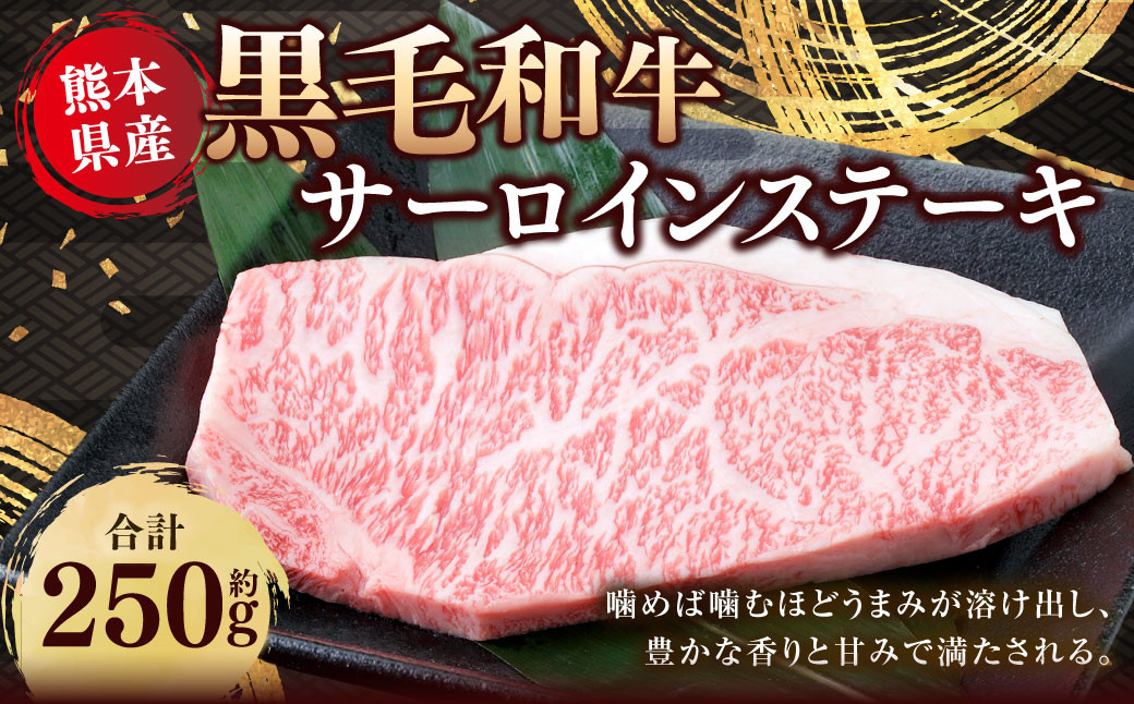 熊本県産 黒毛和牛 サーロインステーキ 約250g 国産 熊本 和牛 牛肉 牛 肉 サーロイン お肉 冷凍