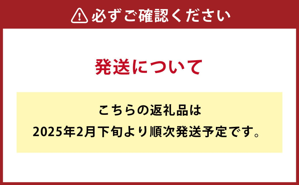 甘夏みかん 8kg  みかん オレンジ 柑橘【2025年2月下旬～4月下旬発送】