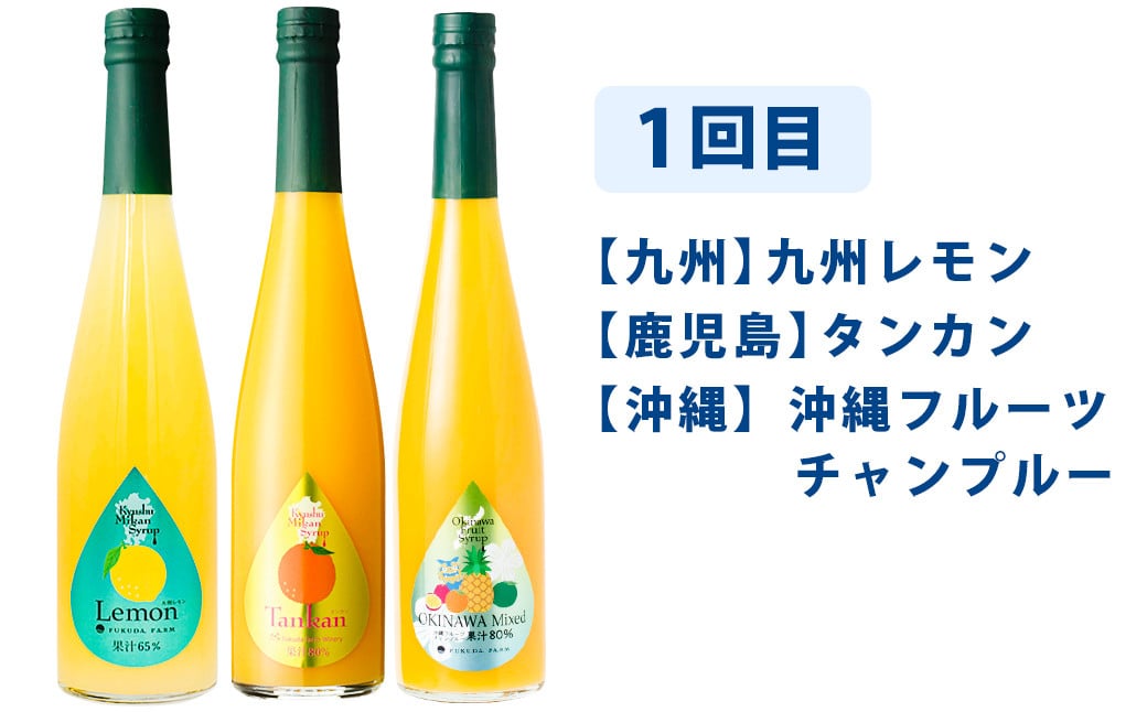 【6ヶ月定期便】 九州を飲む！毎月届く 九州果実シロップ 飲み比べセット 500ml×3本×6回 果物 フルーツ ジュース