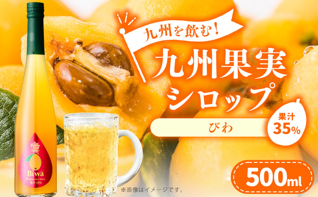 九州を飲む！九州果実 シロップ びわ 500ml 1本 約25杯分 フルーツ 果物 ジュース