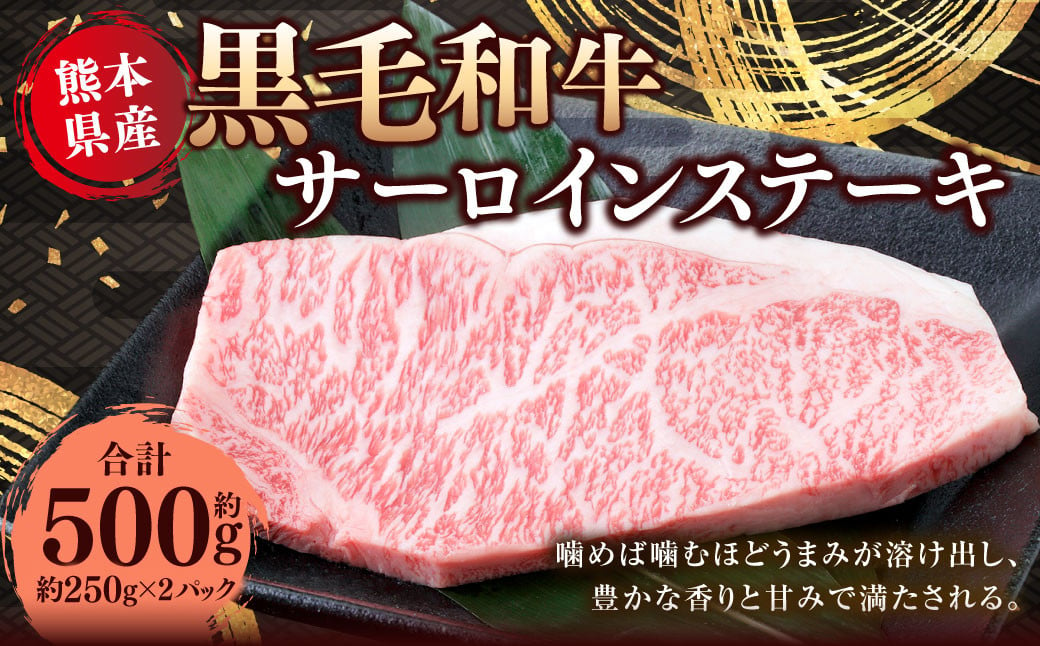 熊本県産 黒毛和牛 サーロインステーキ 約500g （約250g×2） 国産 熊本 和牛 牛肉 牛 肉 サーロイン お肉 冷凍