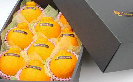 ãã¬ãã¢ã ãã³ 8ç äžç¥ç«ã2026幎2æäžæ¬-6æäžæ¬çºéã