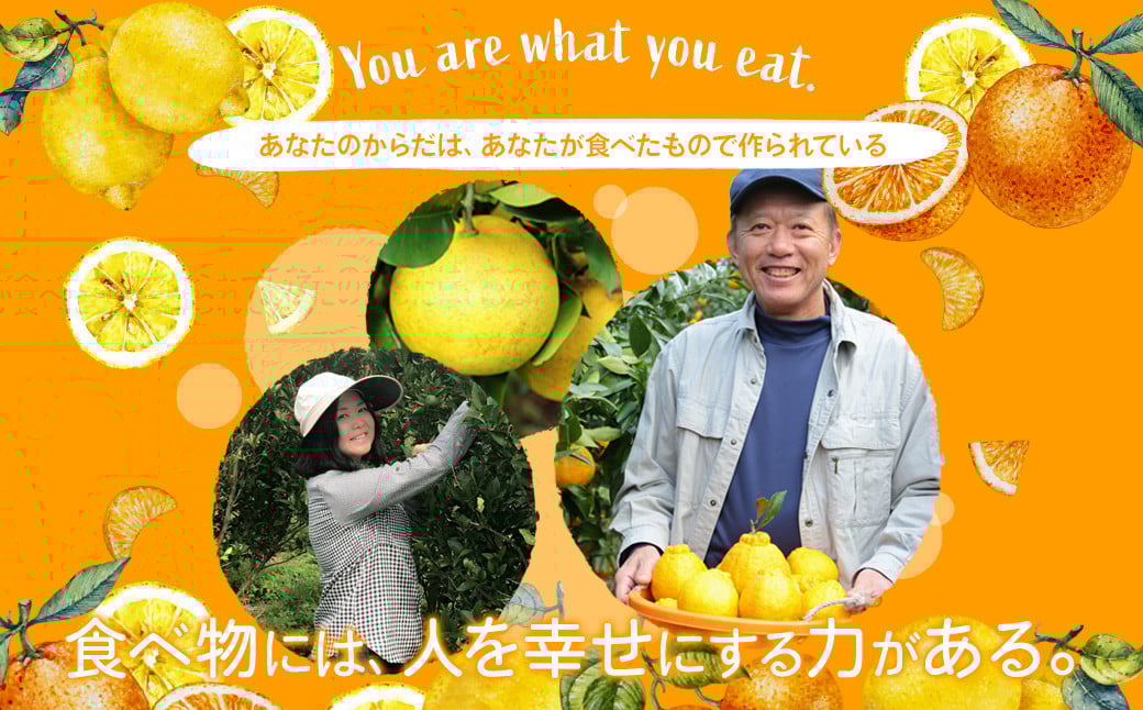 環境マイスターのパール柑 良品・訳あり混合 4kg （栽培期間中は無肥料・農薬不使用） 【2026年2月上旬〜4月上旬迄順次発送予定】