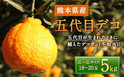 五代目デコ 5kg (18玉～20玉) 不知火 果物 くだもの フルーツ【2025年2月下旬～6月下旬発送】