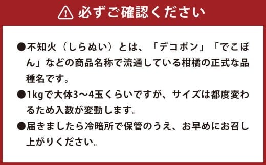 環境マイスターの不知火 良品2.5kg （栽培期間中は無肥料・低農薬） 果物 くだもの フルーツ 不知火 しらぬい 柑橘 みかん 【2026年1月上旬〜4月下旬迄順次発送予定】