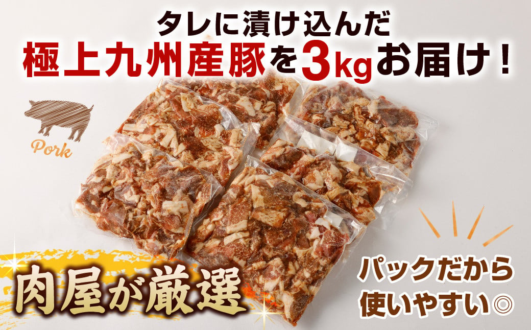 【3ヶ月定期便】 九州産豚 タレ漬け 合計3kg 500g×6袋×3回