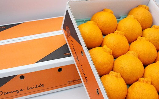 äºä»£ç®ãã³ 3kg (10çã12ç) äžç¥ç« æç© ãã ãã® ãã«ãŒãã2026幎2æäžæ¬ã6æäžæ¬çºéã