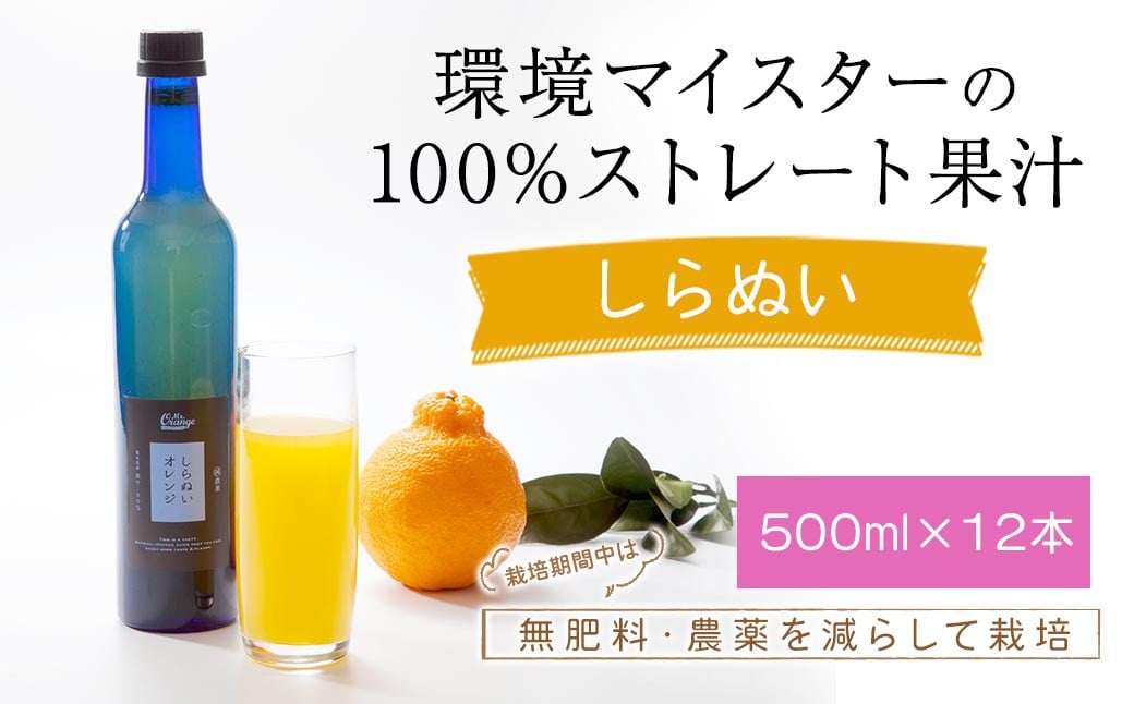 環境マイスターのしらぬい 100%ストレート果汁 500ml×12本セット （無肥料／栽培期間中農薬を減らして栽培／食品添加物無添加） ストレート 国産 不知火 しらぬい 柑橘類 果汁