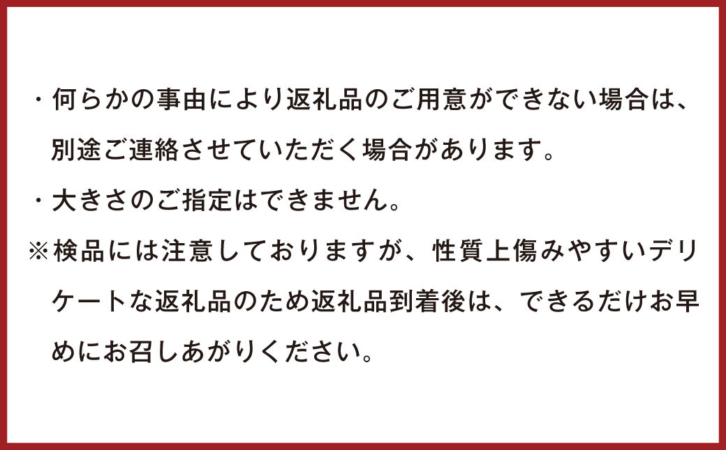 訳あり不知火 約7kg しらぬい 柑橘 果物 フルーツ 【2025年1月下旬から2025年4月下旬発送予定】