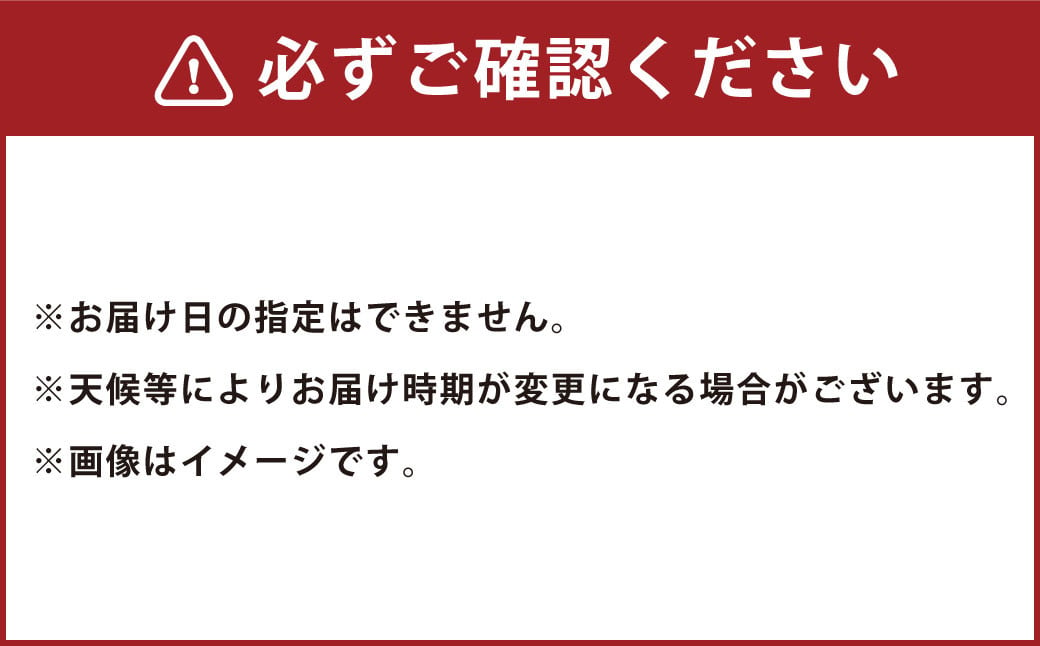 サラたまちゃん 約10kg （30玉前後） 玉ねぎ 野菜 サラダ 水俣市産 【2025年4月上旬‐5月下旬迄発送予定】