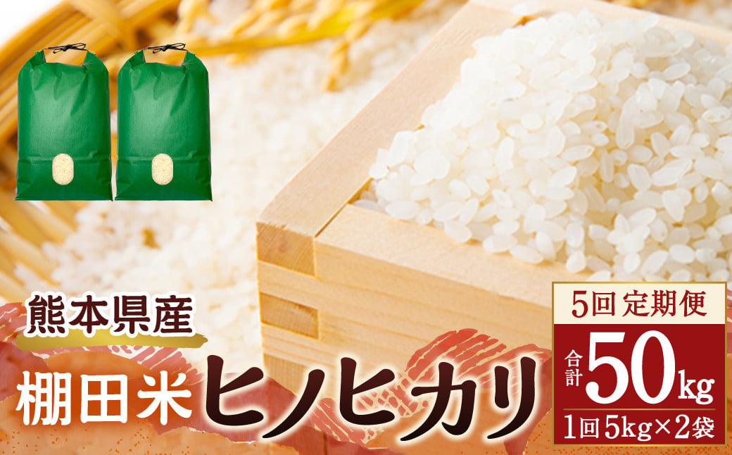 【5回定期便】 熊本県産 棚田米 ヒノヒカリ 合計50kg (5kg×2袋)×5回 お米 定期