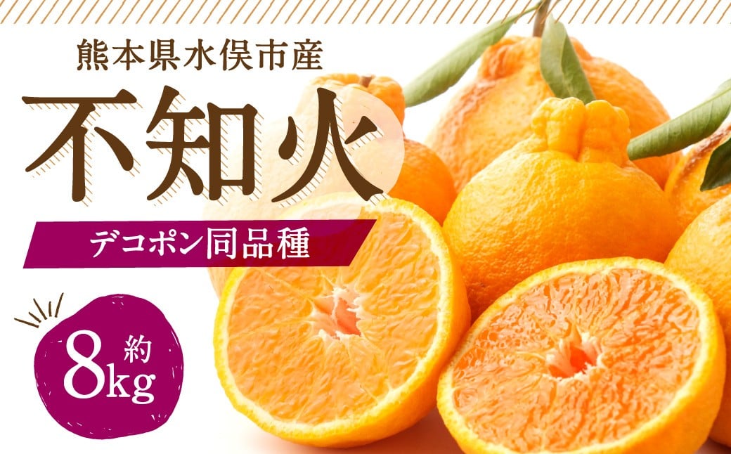 不知火（デコポン同品種）18～37玉 約8㎏ 【2026年2月上旬～4月上旬迄発送予定】 みかん 不知火 フルーツ 果物 詰合せ 贈答品 常温 熊本県 水俣市