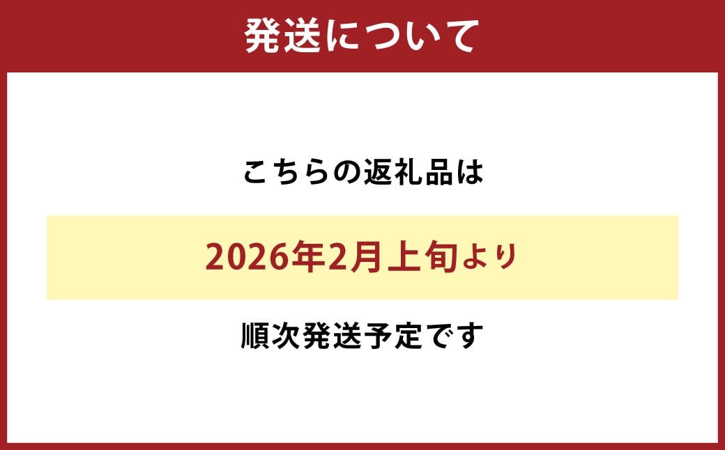 不知火（デコポン同品種）18～37玉 約8㎏ 【2026年2月上旬～4月上旬迄発送予定】 みかん 不知火 フルーツ 果物 詰合せ 贈答品 常温 熊本県 水俣市