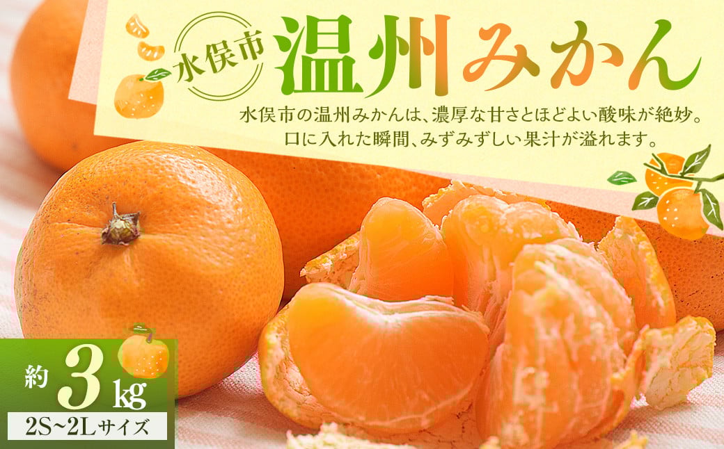 温州みかん 約3kg 2S～2Lサイズ 温州 みかん ミカン 蜜柑 果物 フルーツ 季節 旬 国産 九州 熊本県 水俣市 【2026年11月上旬-2027年2月下旬迄発送予定】