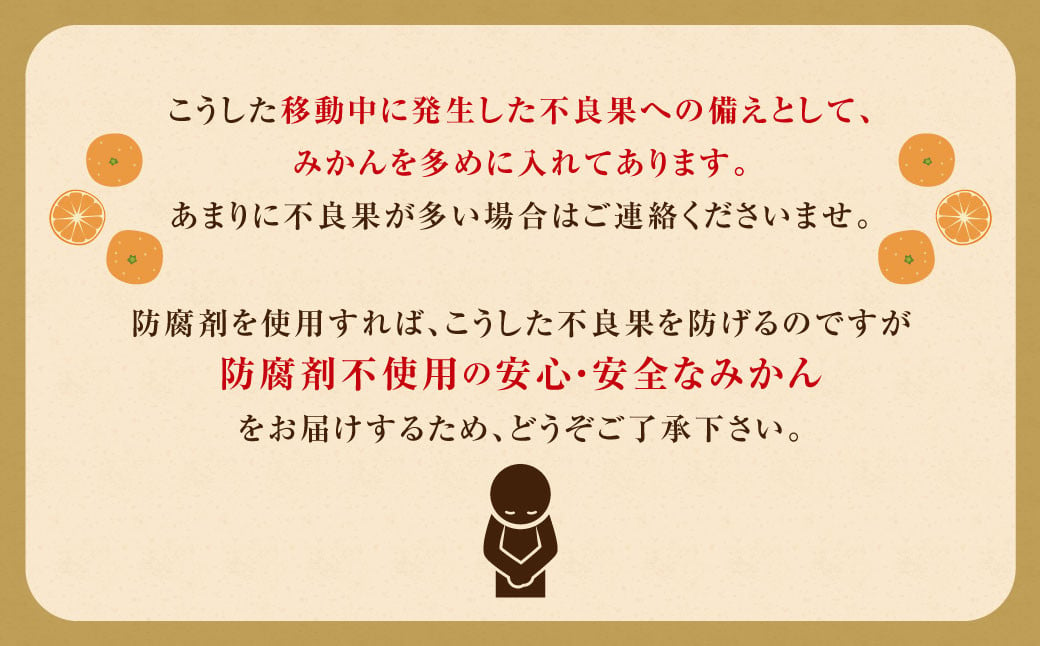 訳あり みかん 約5kg 蜜柑 ミカン 果物 くだもの フルーツ 【2024年10月上旬から2025年2月下旬発送予定】