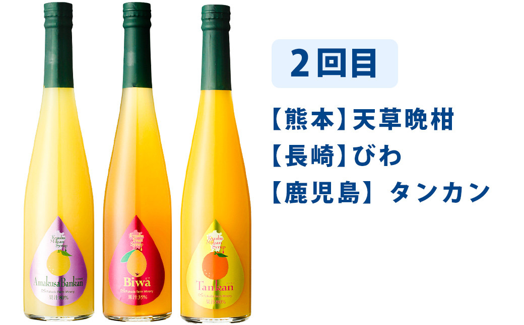 【3ヶ月定期便】 九州を飲む！毎月届く 九州果実シロップ 飲み比べセット 500ml×3本×3回 果物 フルーツ ジュース