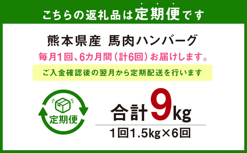 【定期便6回】 馬肉ハンバーグ 約150g×10個 計約9kg 馬 熊本 冷凍 小分け【C39Z6】