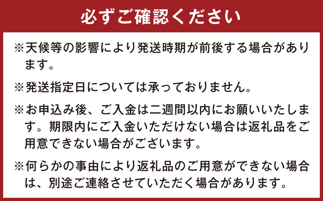熊本県産 そらまめ 約4kg（2粒） 野菜 豆類 そら豆 【2026年4月上旬-4月下旬迄発送予定】