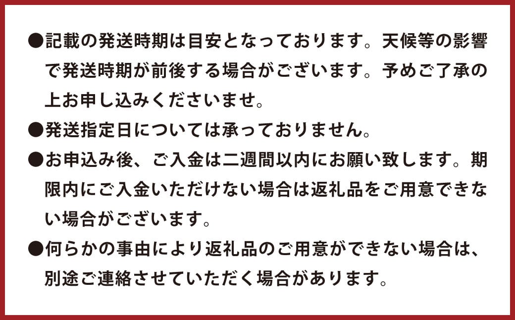 環境マイスターのグレープフルーツ 良品・訳あり混合 4kg （栽培期間中は無肥料・農薬不使用） 【2026年3月下旬〜5月下旬迄順次発送予定】