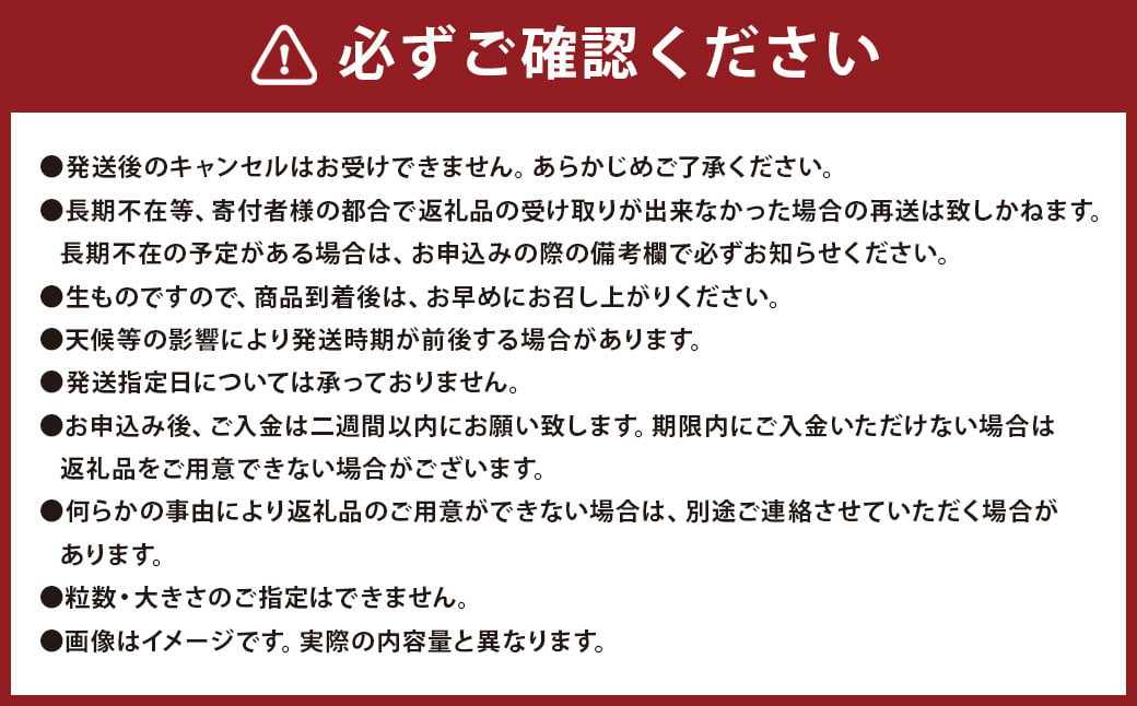 玉ねぎ麹＆甘くて柔らかい！早採りサラダ玉ねぎ 4kg （優品・サイズ混合）＜栽培期間中、無農薬・無化学肥料栽培／熊本県水俣市産／耕人舎＞野菜 タマネギ 玉ねぎ 糀調味料 麹 調味料 サラダ セット 【2025年3月下旬-5月上旬発送予定】