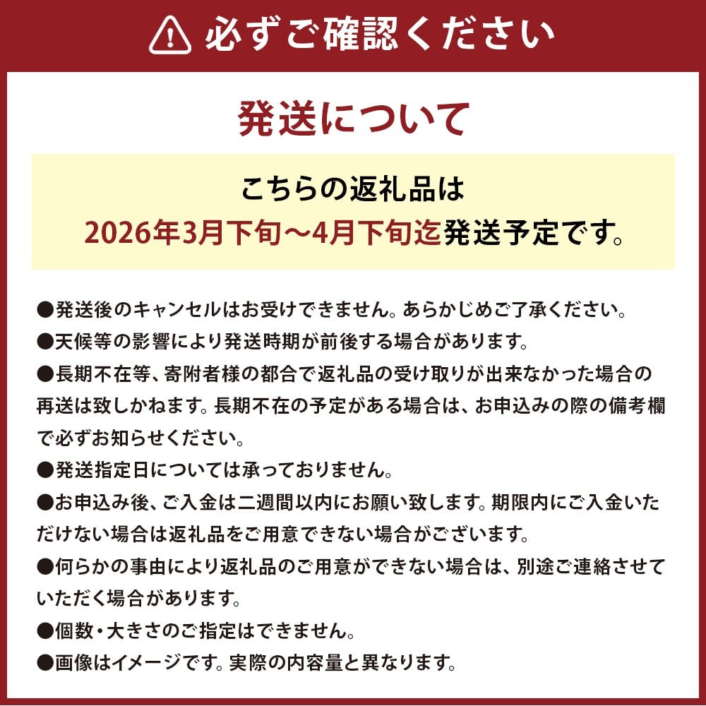 玉ねぎ麹＆1年に1度だけ!甘くて柔らかい!早採りサラダ玉ねぎ 4kg 優品 サイズ混合 ＜栽培期間中農薬不使用/熊本県水俣市産/耕人舎＞さらたま タマネギ 玉葱 野菜 米麹 調味料 セット 熊本県 水俣市産 耕人舎 【2026年3月下旬-4月下旬発送予定】