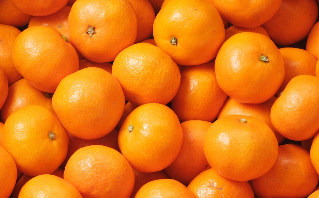 æž©å·ã¿ãã çŽ10kg 2Sã2Lãµã€ãº æž©å· ã¿ãã ãã«ã³ èæ æç© ãã«ãŒã å£ç¯ æ¬ åœç£ ä¹å· çæ¬ç æ°Žä¿£åž ã2026幎11æäžæ¬-2027幎2æäžæ¬è¿çºéäºå®ã