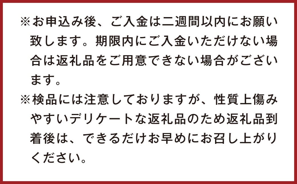 不知火（デコポン同品種）18～37玉 約8㎏ 【2026年2月上旬～4月上旬迄発送予定】 みかん 不知火 フルーツ 果物 詰合せ 贈答品 常温 熊本県 水俣市