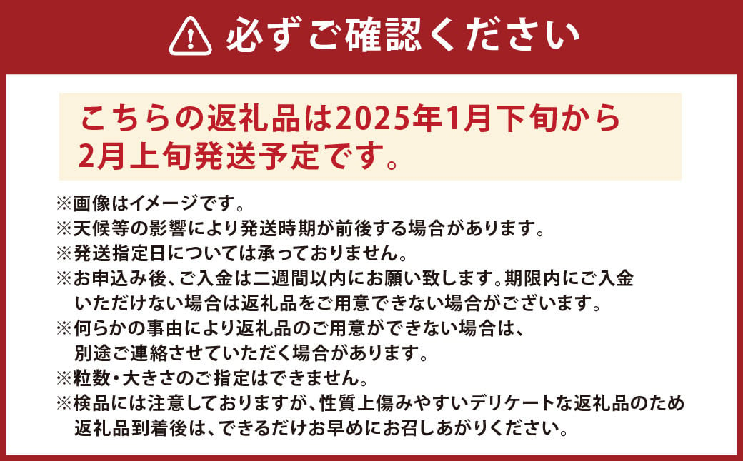 ハウス デコポン 2kg （ 無加温 ） 優品 【2025年1月下旬～2月上旬迄発送予定】 高級 柑橘 フルーツ 果物 蜜柑 みかん ミカン くだもの