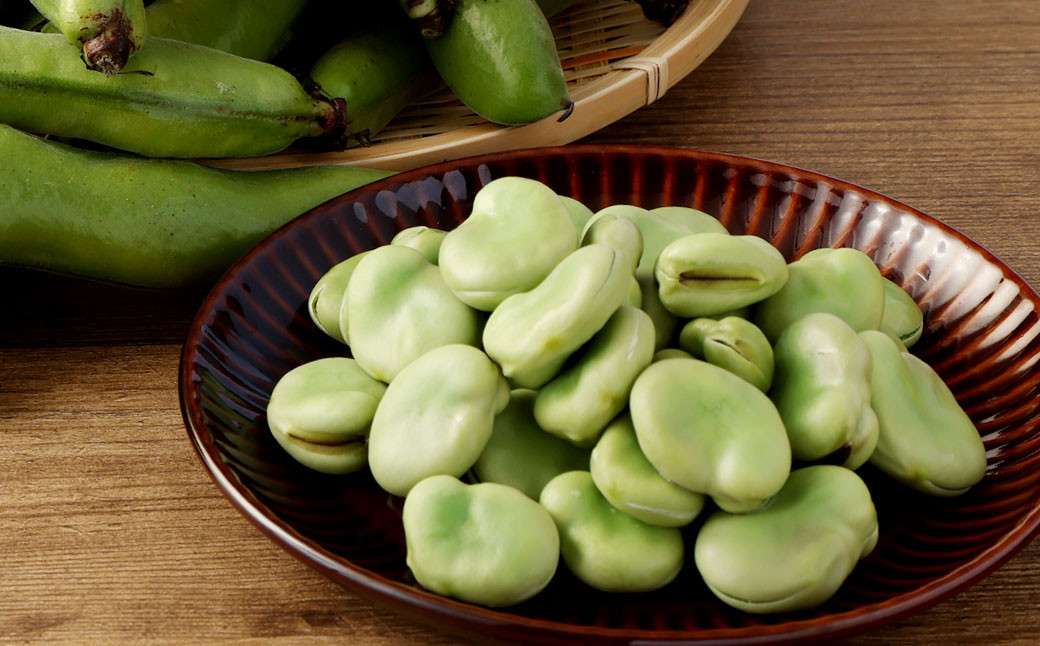 熊本県産 そらまめ 約4kg（2粒） 野菜 豆類 そら豆 【2026年4月上旬-4月下旬迄発送予定】