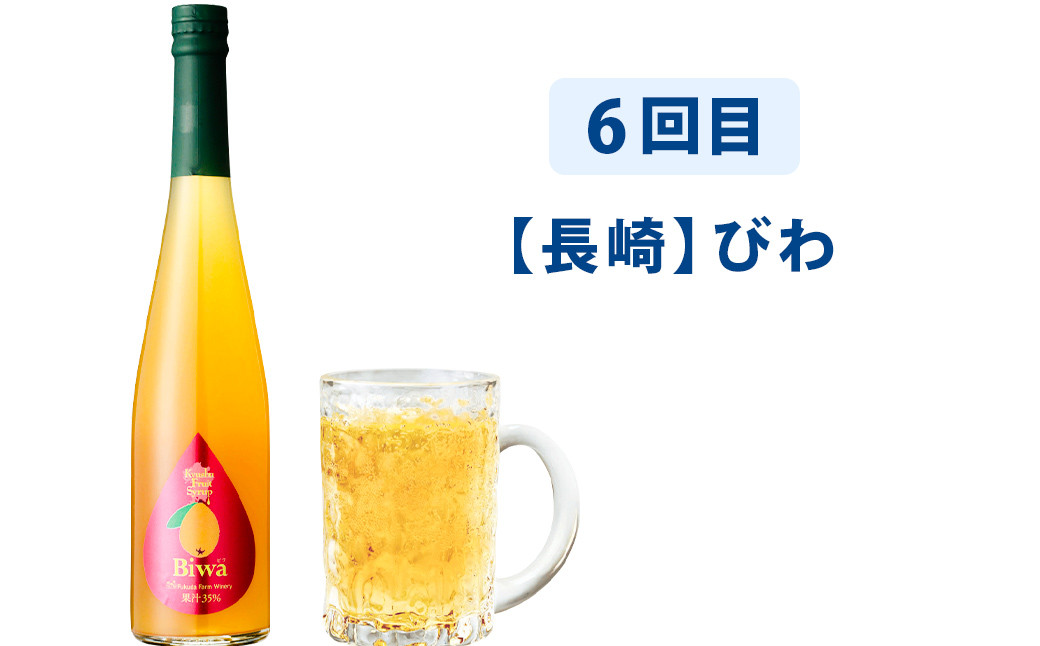 【6ヶ月定期便】 九州を飲む！毎月届く 九州果実シロップ 500ml×1本×6回 6種 果物 フルーツ ジュース