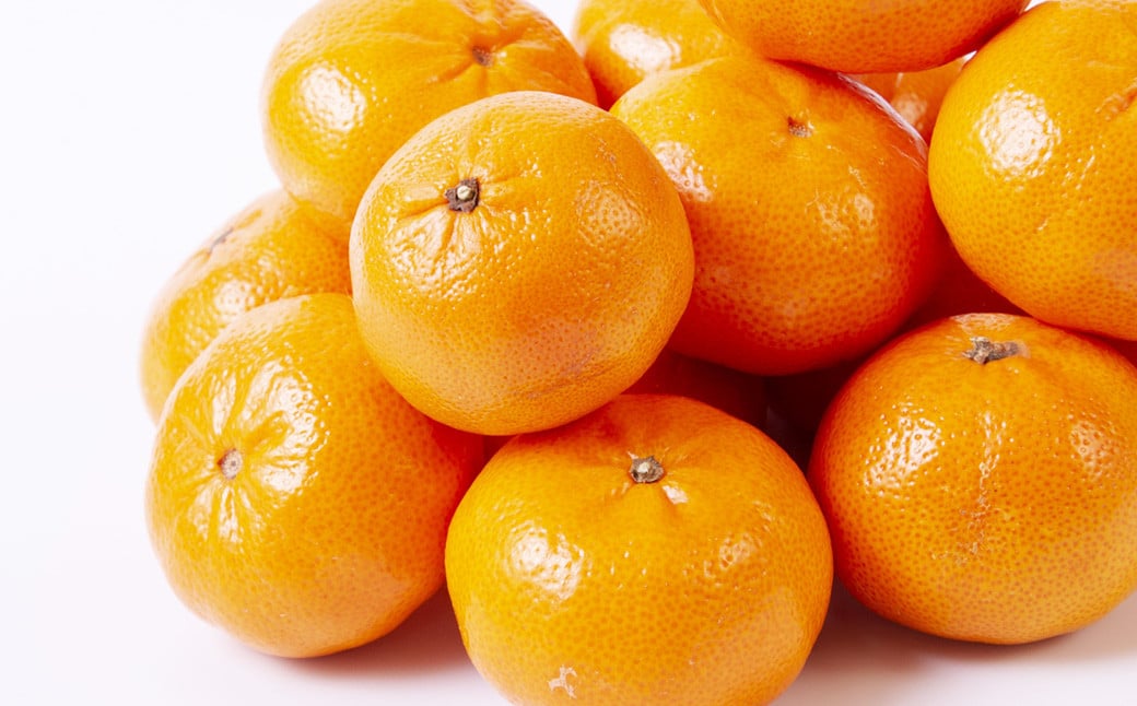 温州みかん 約3kg 2S〜2Lサイズ 温州 みかん ミカン 蜜柑 果物 フルーツ 季節 旬 国産 九州 熊本県 水俣市 【2026年11月上旬-2027年2月下旬迄発送予定】