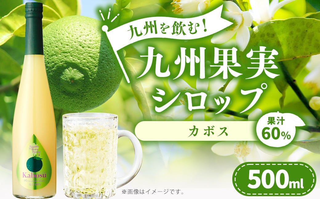 「年内発送」九州を飲む！九州果実 シロップ カボス 500ml 1本 約25杯分 フルーツ 果物 ジュース