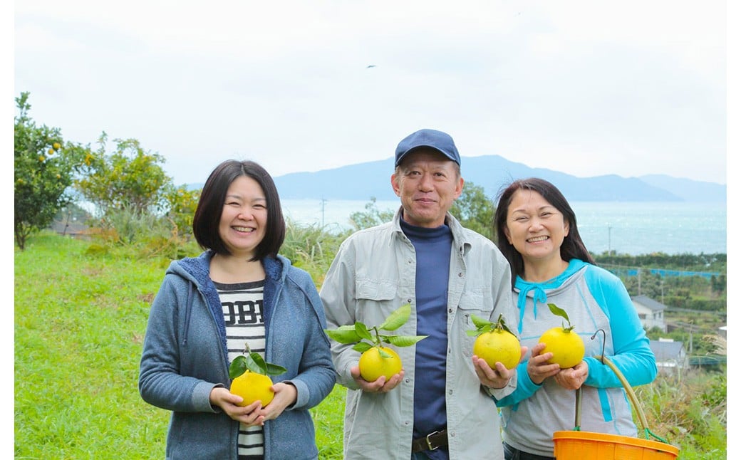 ç°å¢ãã€ã¹ã¿ãŒã®ã¬ã¢ã³ 2kgïŒç¡è¥æïŒæ œå¹æéäžèŸ²è¬ãæžãããŠæ œå¹ïŒã2025幎11æäžæ¬ïœ2026幎4æäžæ¬çºéäºå®ãã¬ã¢ã³ 檞檬 ããã æç© ãã ãã® ãã«ãŒã ãã¿ãã³ é
žå³ ææ± æå® ææ© ã¬ã¢ããŒã ã¬ã¢ã³ãµã¯ãŒ åœç£ çæ¬çç£ æ°Žä¿£åžç£