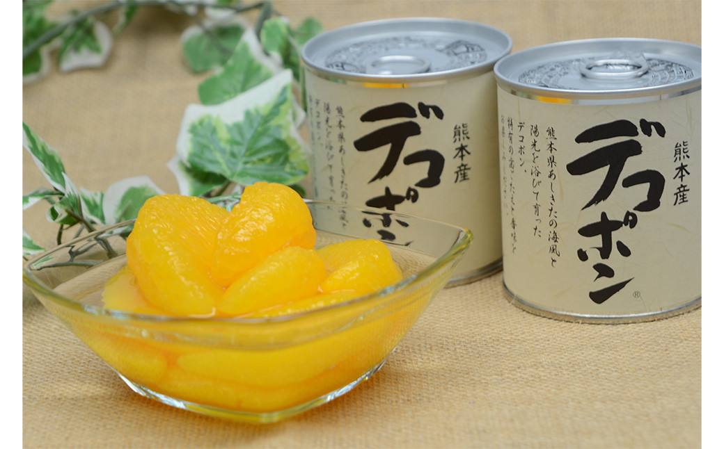 【熊本県産】 デコポン 缶詰 295g×10缶 果物 柑橘 フルーツ