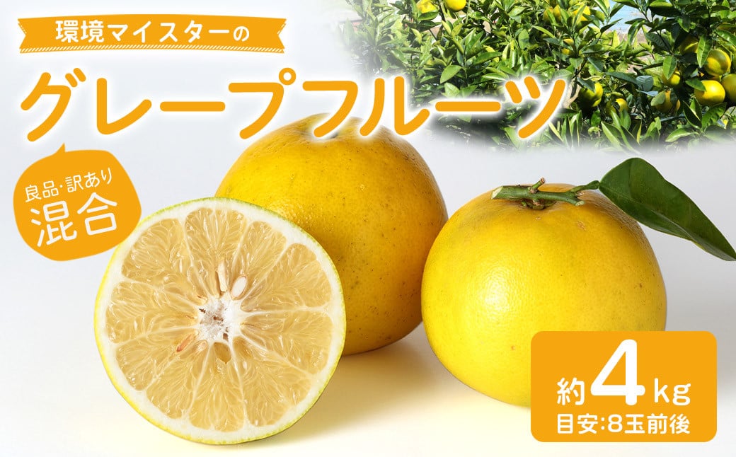 環境マイスターのグレープフルーツ 良品・訳あり混合 4kg （栽培期間中は無肥料・農薬不使用） 【2026年3月下旬〜5月下旬迄順次発送予定】