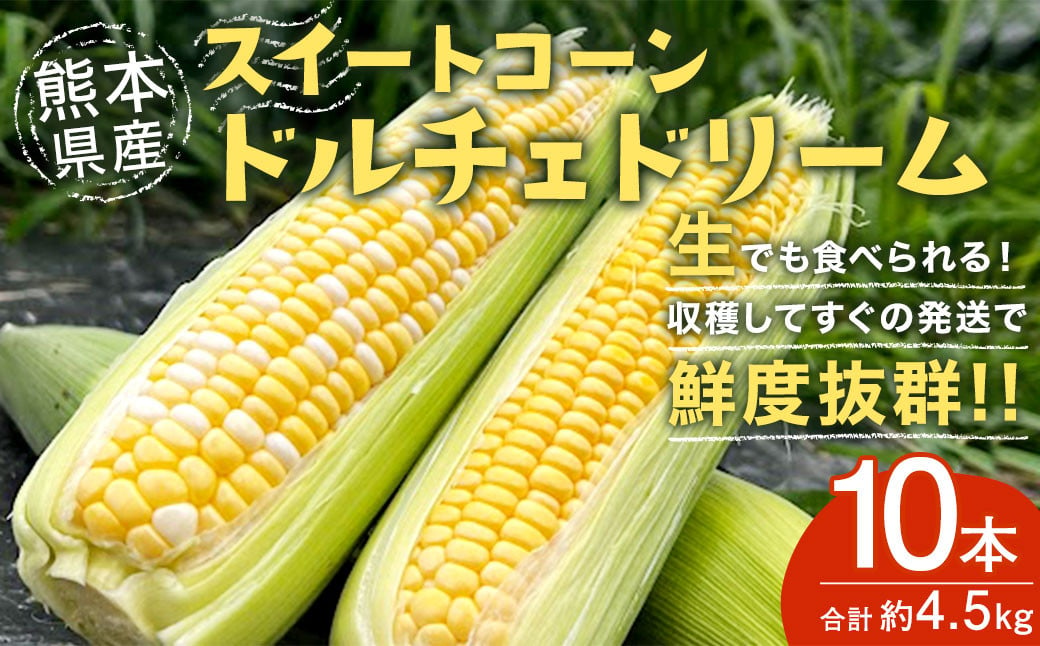 熊本県産スイートコーン ドルチェドリーム 約4.5kg 1本450g以上×10本 野菜 スイートコーン とうもろこし 【2025年6月上旬‐6月下旬迄発送予定】