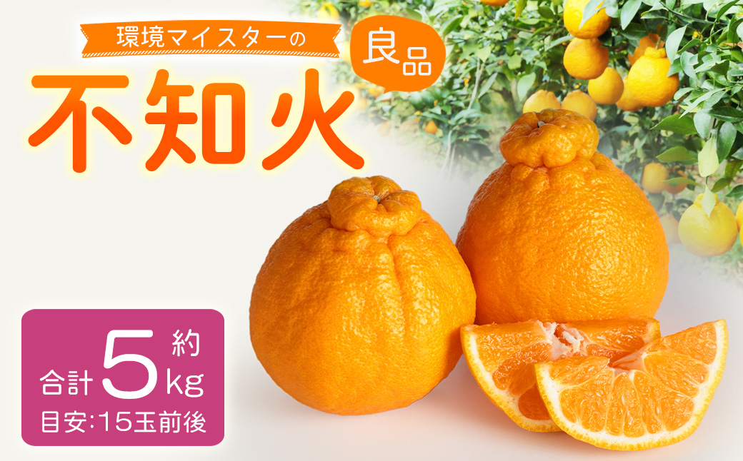 環境マイスターの不知火 良品 5kg （栽培期間中は無肥料・低農薬） 果物 くだもの フルーツ 不知火 しらぬい 柑橘 みかん 【2026年1月上旬〜4月下旬迄順次発送予定】