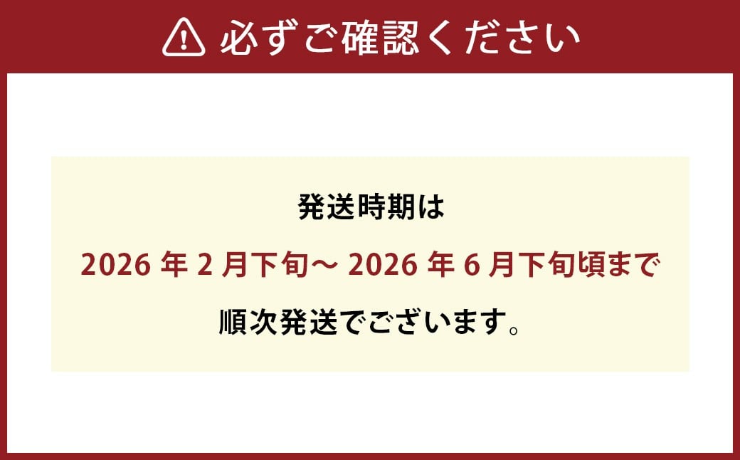 パクパクデコ 5kg バラ詰め 訳あり（B品） 不知火【2026年2月下旬-6月下旬発送】
