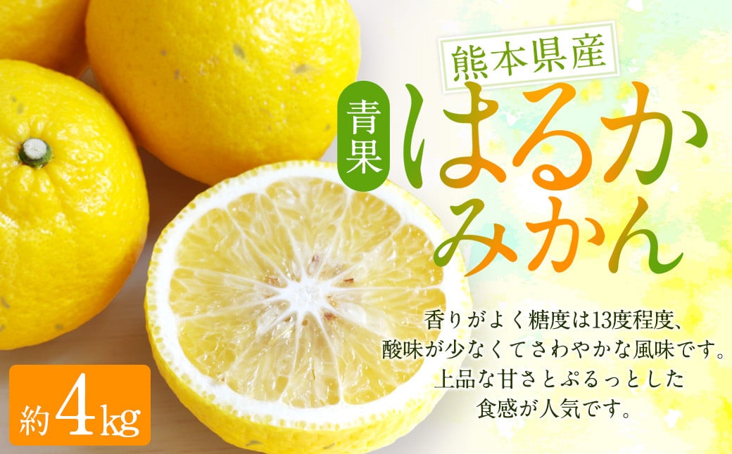 はるかみかん 約4kg （サイズ混合・無選果・ご自宅用）【2025年2月下旬～4月下旬迄発送予定】 はるか 日向夏 家庭用 みかん 果物 フルーツ 柑橘 ご家庭用