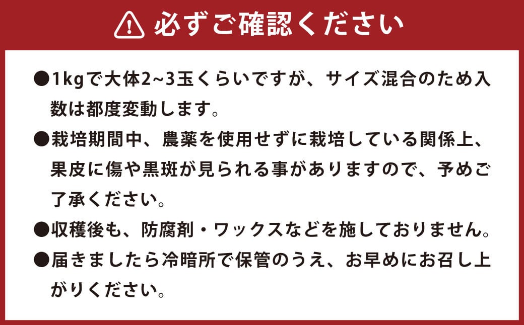 環境マイスターのパール柑 良品・訳あり混合 4kg （栽培期間中は無肥料・農薬不使用） 【2026年2月上旬〜4月上旬迄順次発送予定】