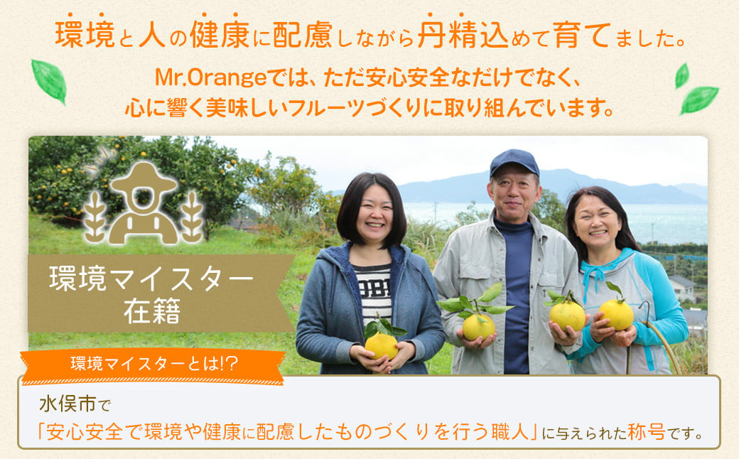 環境マイスターの不知火 訳あり 4kg（栽培期間中は無肥料・低農薬） くだもの 果物 フルーツ 不知火 しらぬい みかん 柑橘 【2025年2月上旬‐5月上旬迄順次発送予定】