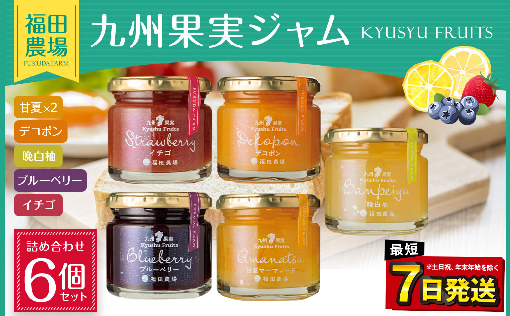 九州果実ジャム 詰め合わせ 6個セット ( 甘夏 / ブルーベリー / いちご / デコポン / 晩白柚 ) ／ 5種 120g×6個 合計720g ジャム マーマレード 果物 フルーツ 柑橘 瓶詰 福田農場 熊本県産 水俣市