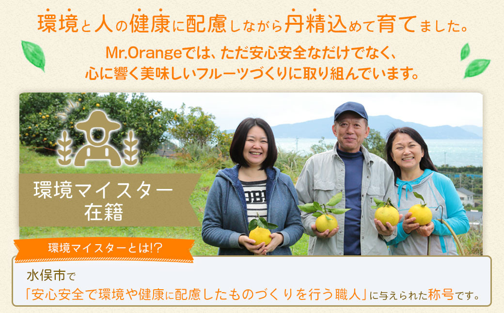 【訳あり】環境マイスターの不知火 20kg （栽培期間中は無肥料・低農薬） 果物 くだもの フルーツ 不知火 しらぬい 柑橘 みかん 【2025年2月上旬‐5月上旬迄順次発送予定】