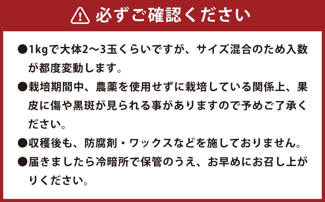 環境マイスターのグレープフルーツ 良品・訳あり 混合 4kg （栽培期間中は無肥料・無農薬）【2025年3月下旬‐5月下旬迄順次発送予定】