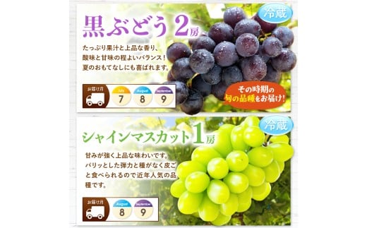 縲 螳壽悄萓ソ 7蝗 縲 縺セ繧九#縺ィ 蝣ェ閭ス シ 莠コ豌 繝輔Ν繝シ繝