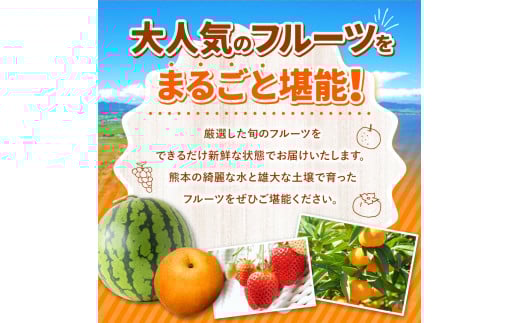 【 定期便 4回 】 まるごと 堪能 ！ 人気 フルーツ